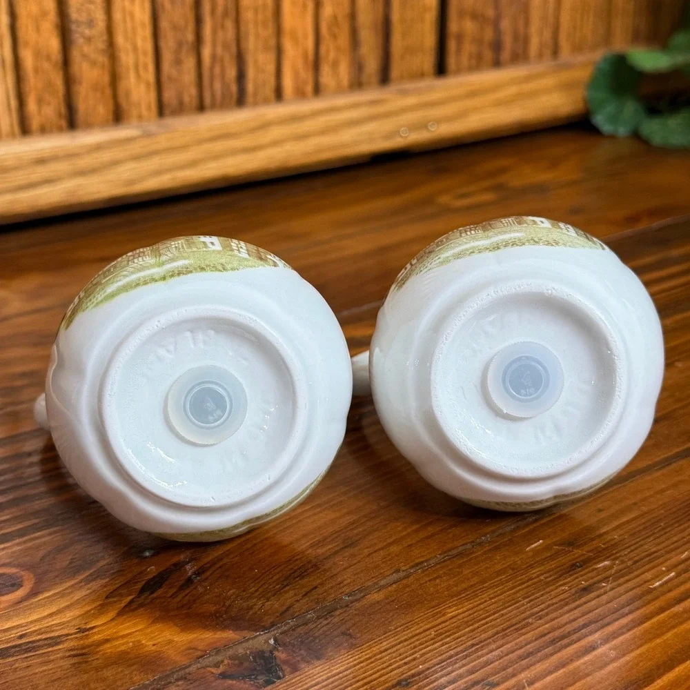 J G Meakin Salt Pepper Shakers Romance England Green White Excellent Handled Set